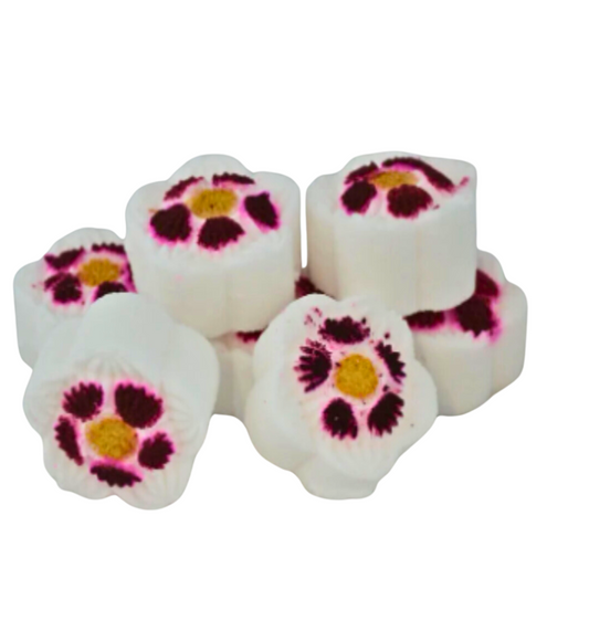 Sparkling Melonberry Shower Steamers x 1